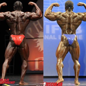 2011 Bodybuilding images