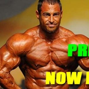 2011 Bodybuilding images