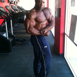 2011 Bodybuilding images