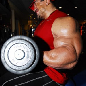 2011 Bodybuilding images