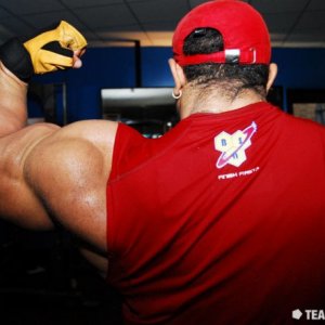 2011 Bodybuilding images