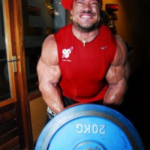 2011 Bodybuilding images