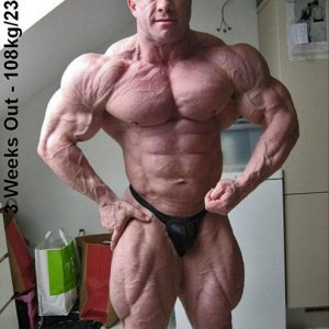 2011 Bodybuilding images