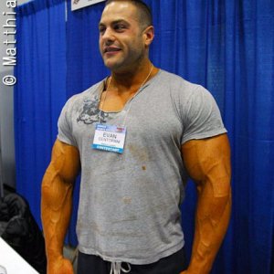 2011 Bodybuilding images