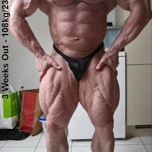 2011 Bodybuilding images