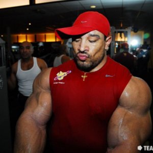 2011 Bodybuilding images