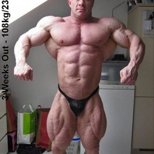 2011 Bodybuilding images