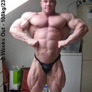 2011 Bodybuilding images