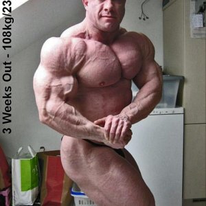 2011 Bodybuilding images