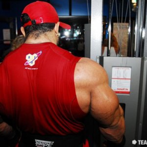 2011 Bodybuilding images