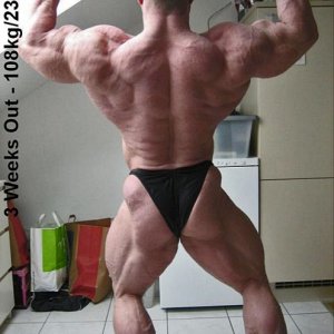 2011 Bodybuilding images