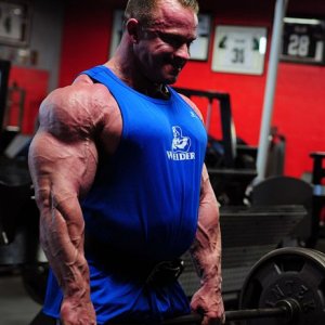 2011 Bodybuilding images