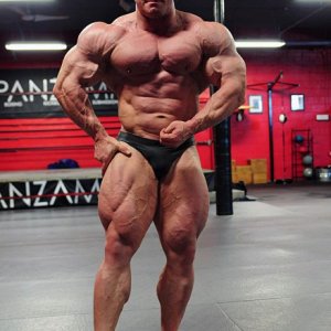 2011 Bodybuilding images