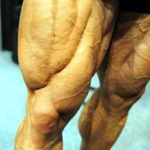 2011 Bodybuilding images