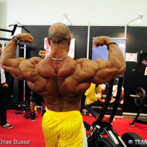 2011 Bodybuilding images