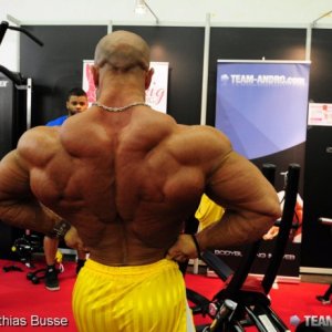 2011 Bodybuilding images