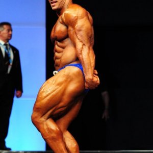 2011 Bodybuilding images