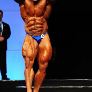 2011 Bodybuilding images