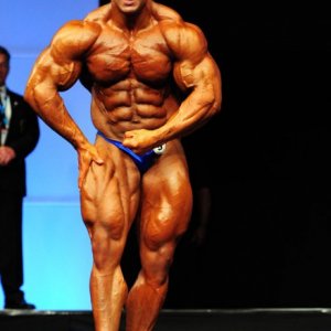 2011 Bodybuilding images