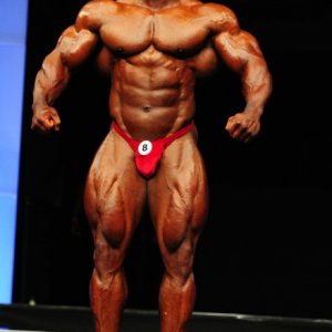 2011 Bodybuilding images