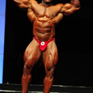 2011 Bodybuilding images