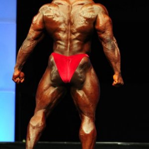 2011 Bodybuilding images