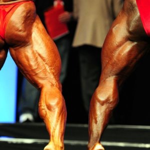 2011 Bodybuilding images