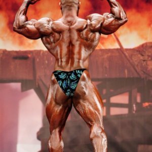 2011 Bodybuilding images