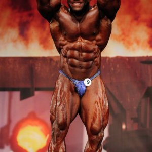 2011 Bodybuilding images