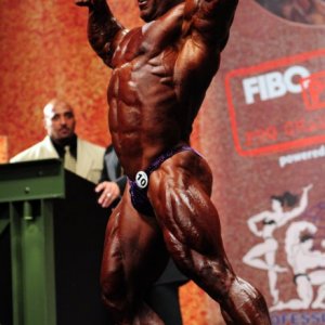 2011 Bodybuilding images