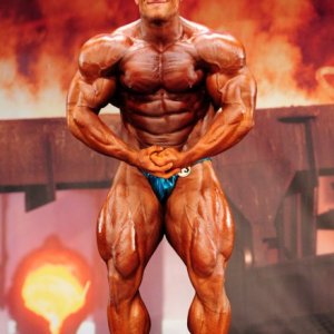 2011 Bodybuilding images