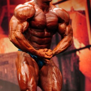 2011 Bodybuilding images