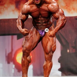 2011 Bodybuilding images