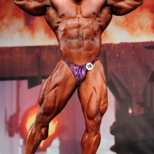 2011 Bodybuilding images