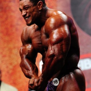 2011 Bodybuilding images