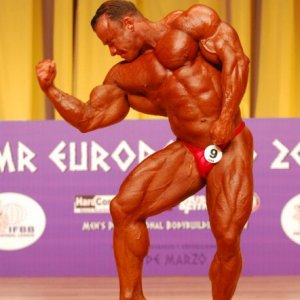 2011 Bodybuilding images