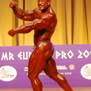 2011 Bodybuilding images