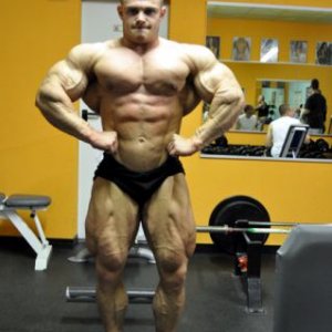 2011 Bodybuilding images