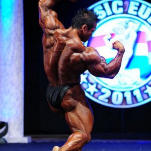 2011 Bodybuilding images