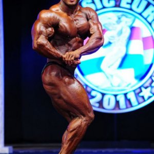 2011 Bodybuilding images