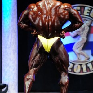 2011 Bodybuilding images