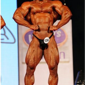 2011 Bodybuilding images