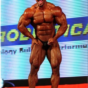 2011 Bodybuilding images