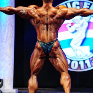 2011 Bodybuilding images