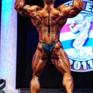 2011 Bodybuilding images