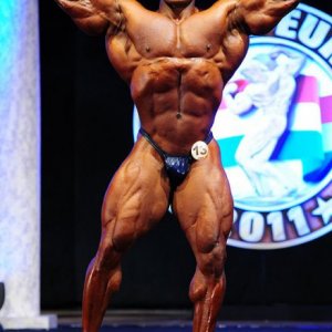 2011 Bodybuilding images