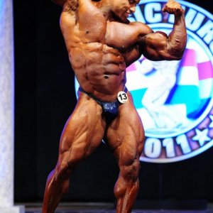 2011 Bodybuilding images