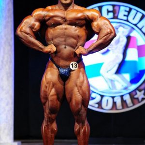 2011 Bodybuilding images