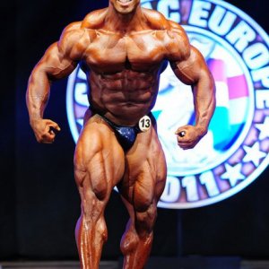 2011 Bodybuilding images