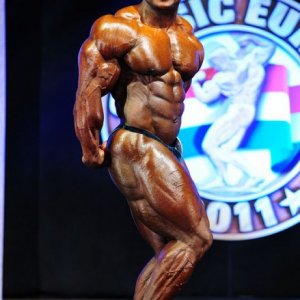 2011 Bodybuilding images